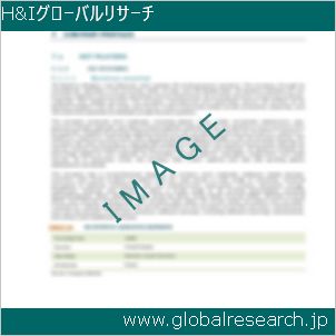 グローバルリサーチ調査レポートのイメージ